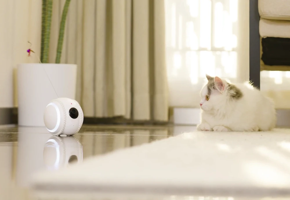 best indoor pet monitoring camera