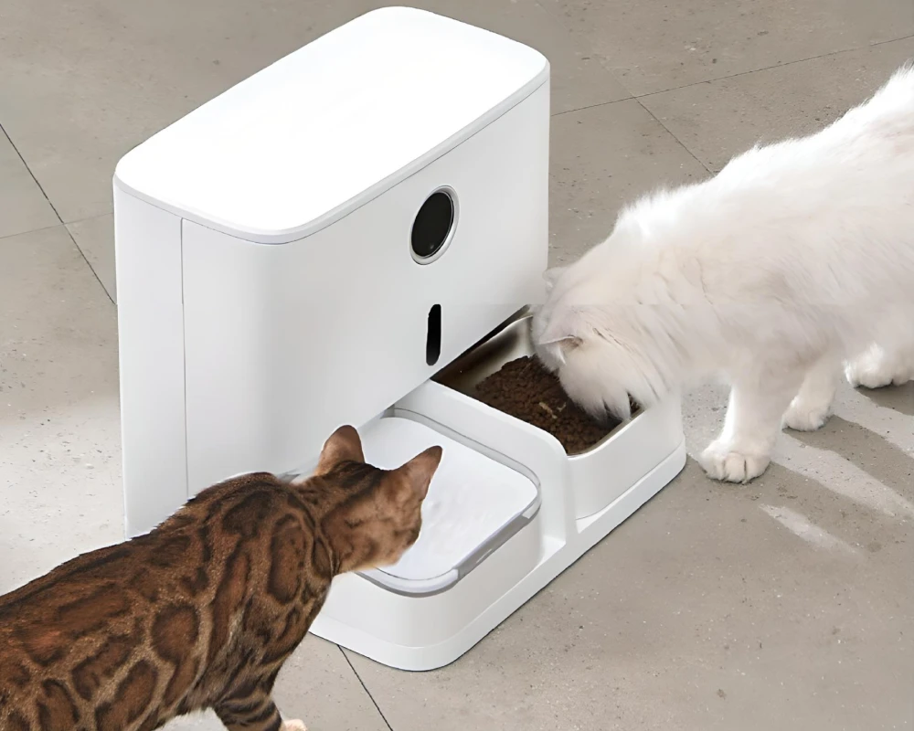 auto pet food dispenser