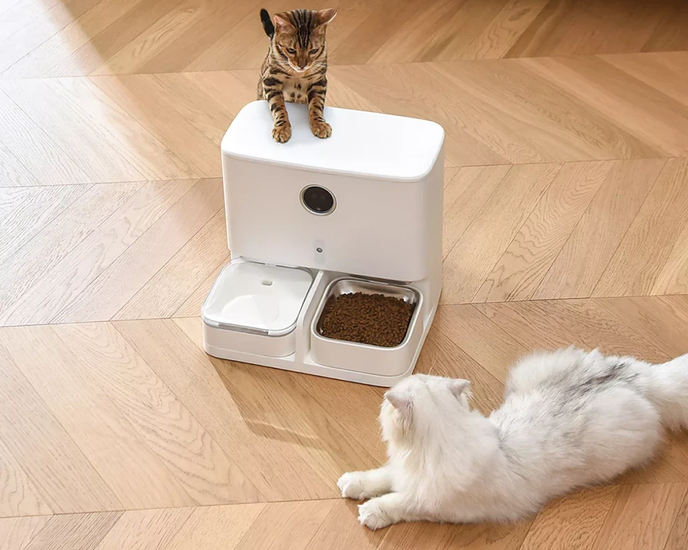 pet smart automatic pet feeder