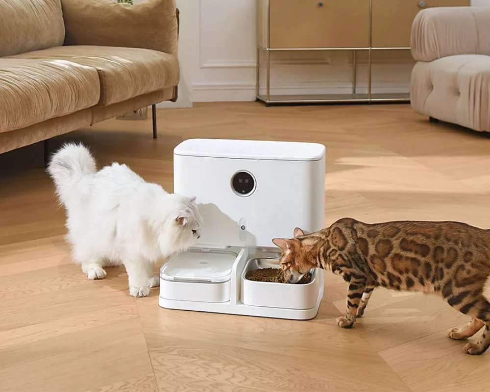 programmable automatic pet feeder