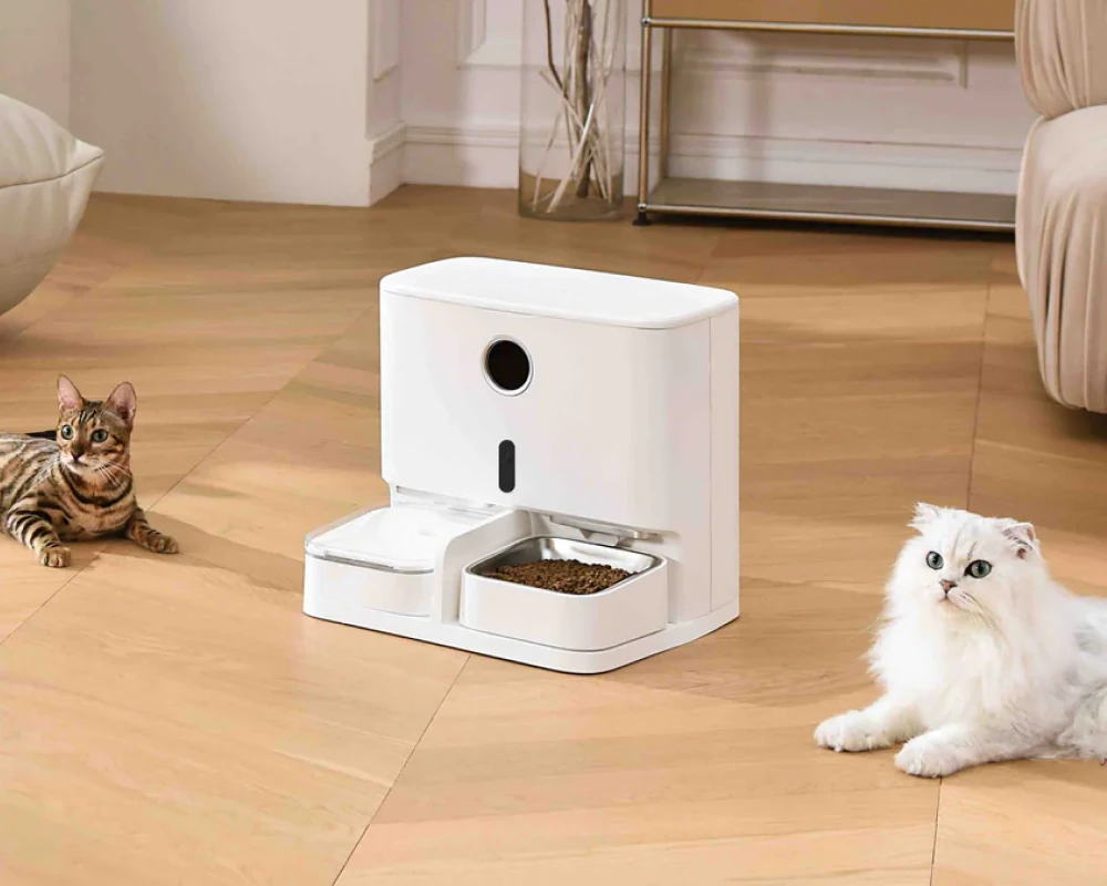 automatic pet feeder for 2 cats