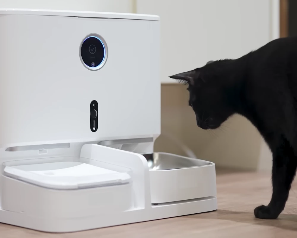 automatic pet feeding station